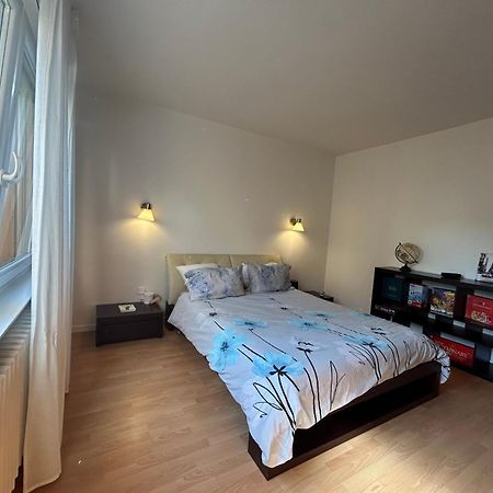 Superbe Appartement Avec Belle Terrasse Bischheim Exterior foto